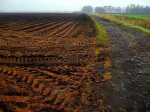 vendre terre agricole louée